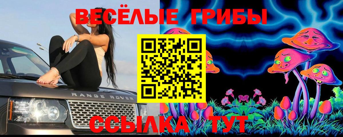 Псилоцибиновые грибы ЛСД Вятские Поляны