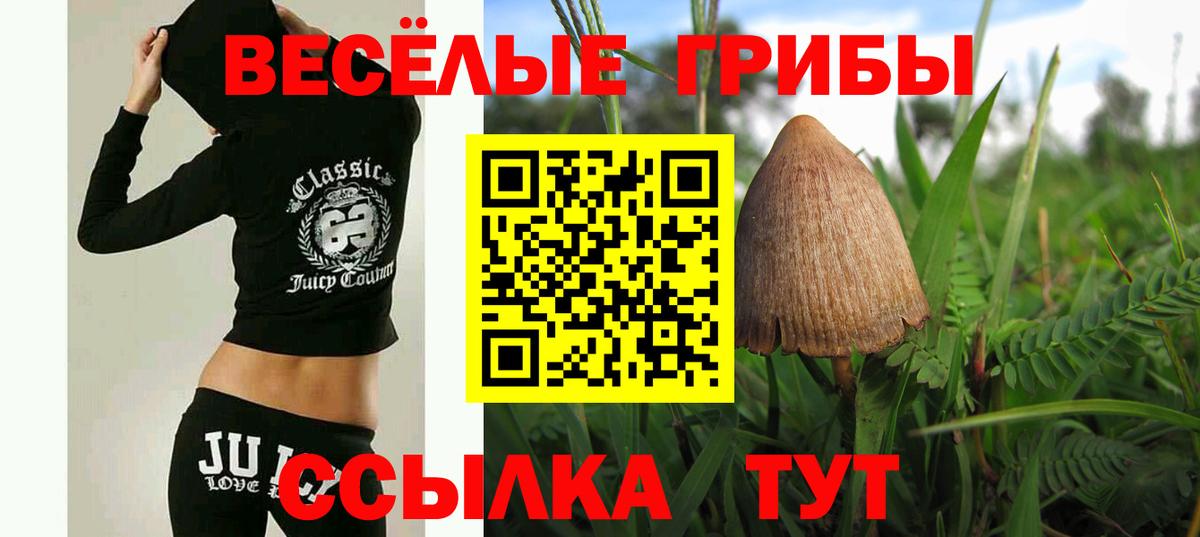 Вятские Поляны  Галлюциногенные грибы Psilocybine cubensis  купить наркотик  Галлюциногенные грибы прущие грибы  Вход с VPN 